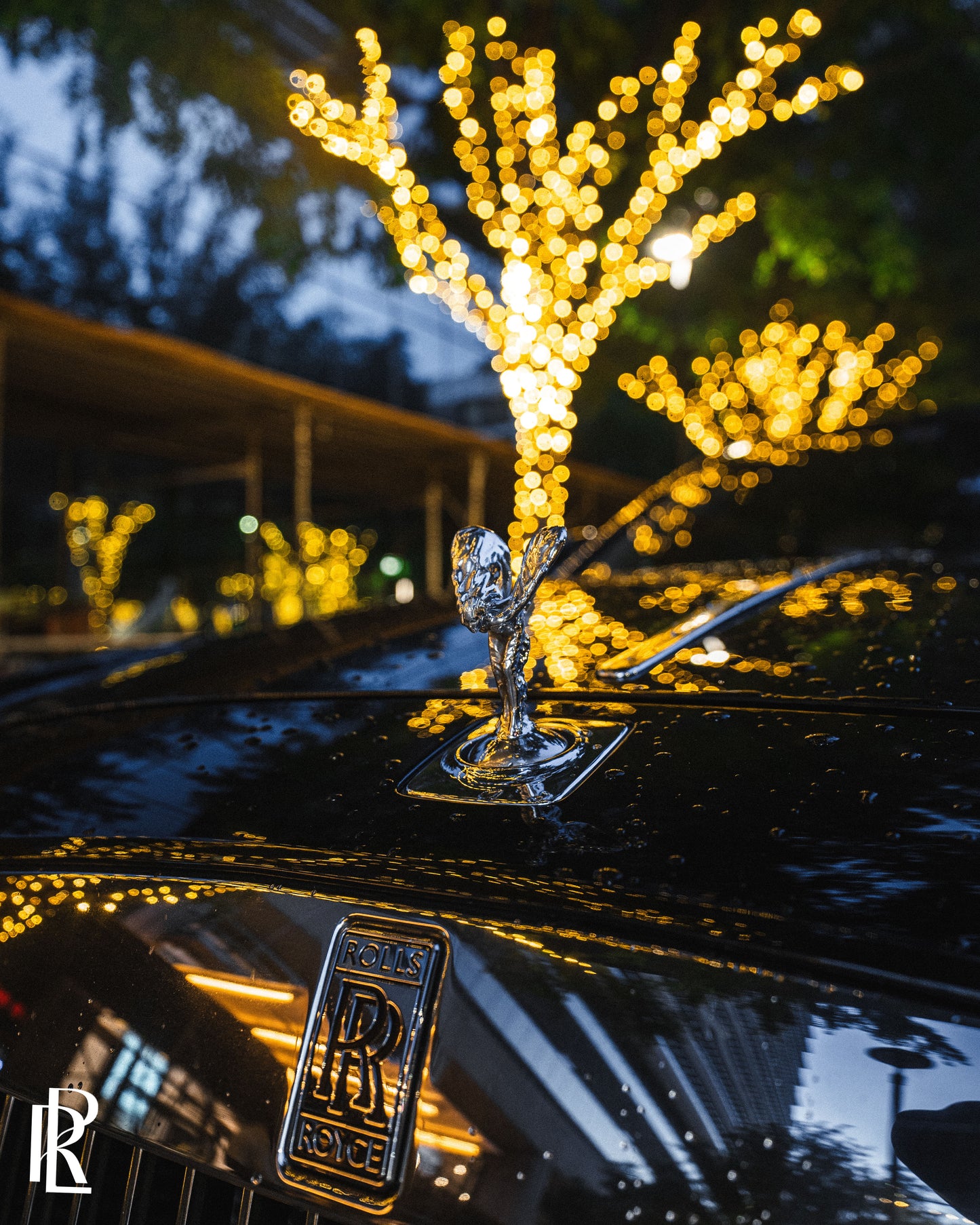 Rolls Royce Ghost - Picton Luxury Rentals